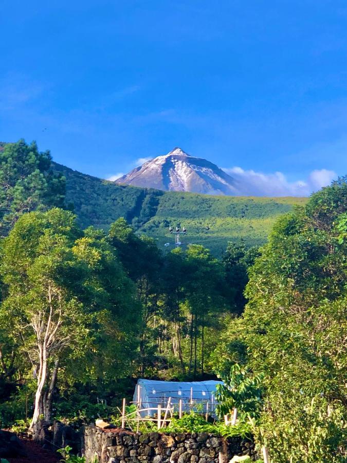 Quinta Pereirinha Farm - A Private 3 Bedroom Vacation Home, Close To Hiking W Ocean Views - Pico Island, Azores Sao Roque do Pico Bagian luar foto